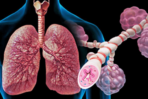 Бронхиальная астма у взрослых