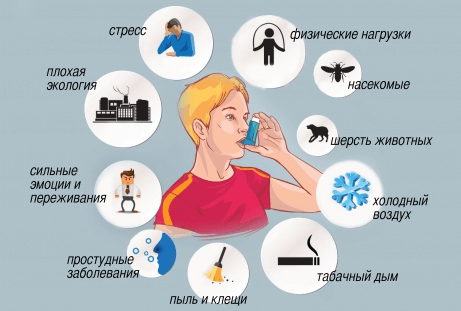 Причины бронхиальной астмы