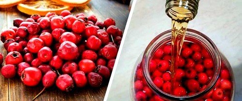 Лечение аритмии в домашних условиях