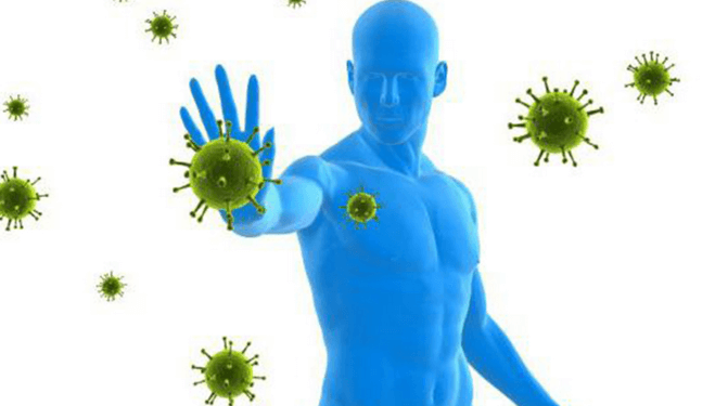 Влияние инфекций и вирусов на организм